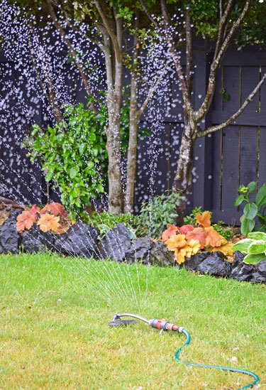 Check out what water restrictions may apply in your area.