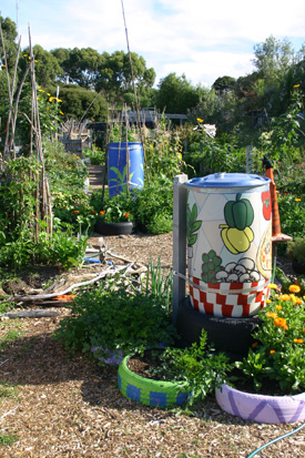 Raumati South School's display