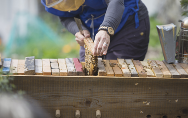 bee keeping