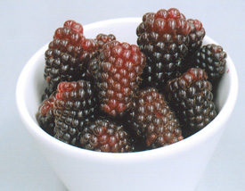 tasty berries