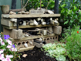 A Bug Hotel