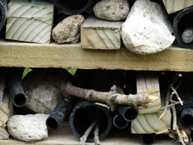 A Bug Hotel