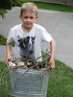 A Bug Hotel