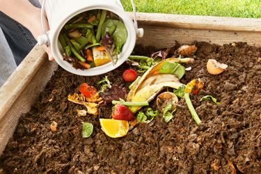 compost