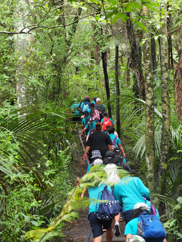 greenlife eye on nature