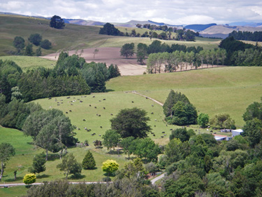 farm shelter