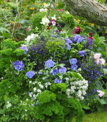 hanging baskets