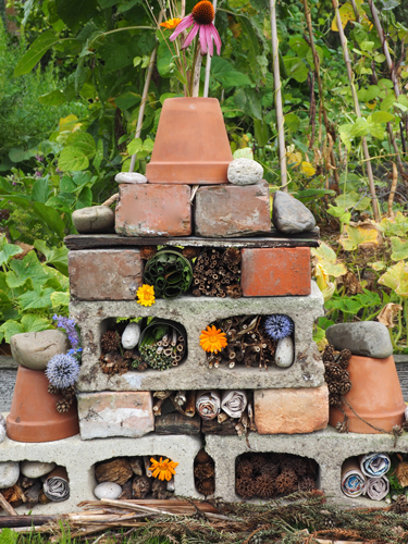 bug hotel