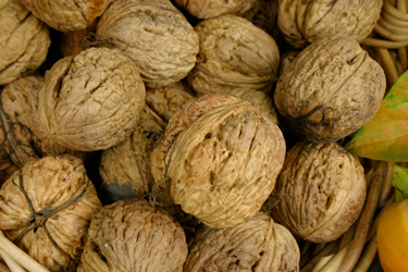 nuts walnuts
