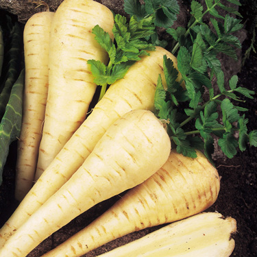 parsnips