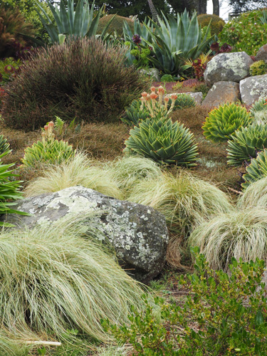 Larnach Castle