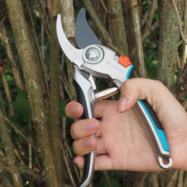 secateurs