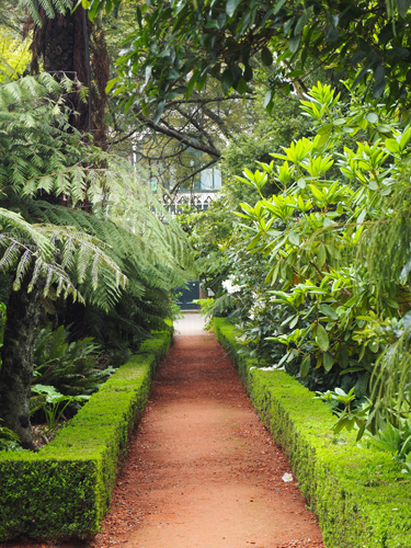 larnach castle