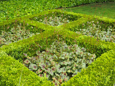 larnach castle