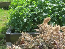 New beginnings New beginnings