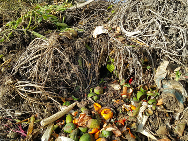 composting