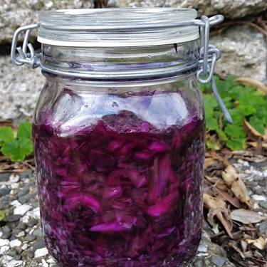 How to make sauerkraut 