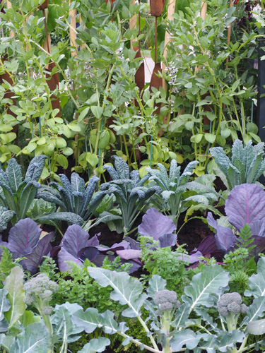 spring vegetables spring vegetables