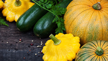 cucurbits