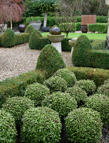 topiary shapes