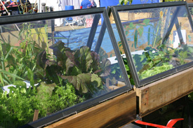 Cold frames built from recycled windows featured in Paraparaumu College students' display at the recent Kapiti Coast Sustainable Home and Garden Show.