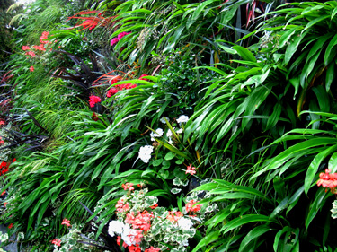 vertical garden