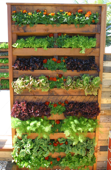 pallet garden